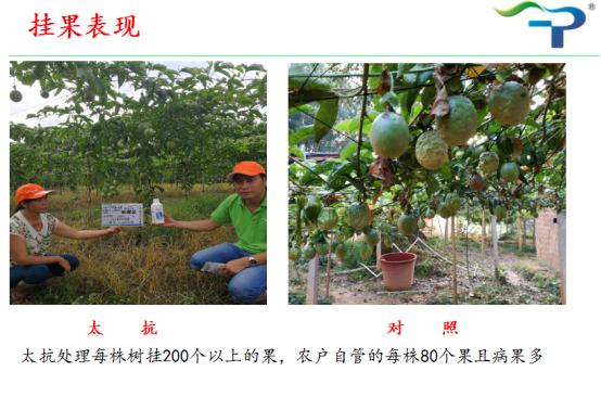 1513319325643898Jocf.png blob.png