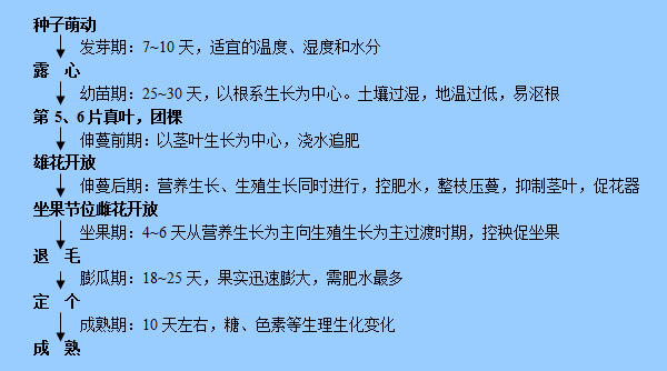 1513329319417880RYYr.jpg 圖片79.jpg