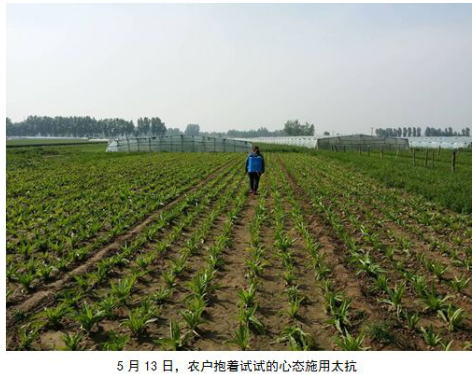 1513332933275056GOLj.png blob.png