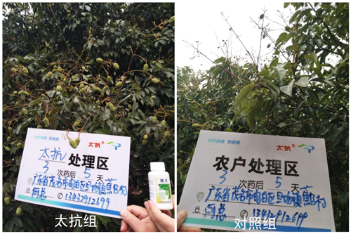 1527235494700624KlhI.png 圖片7_副本.png