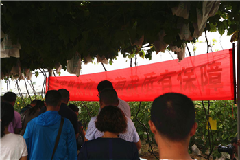 1533176844644807qwxm.png 圖片14.png