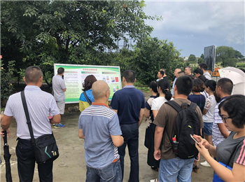 1533177455535005luZt.png 圖片7.png