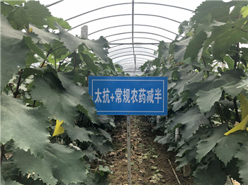 1533177671764319pNMB.png 圖片11.png