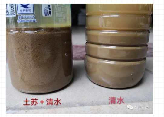 1587374665199285ivXL.png image.png