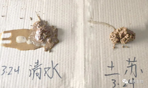 158737469792265325lW.png image.png