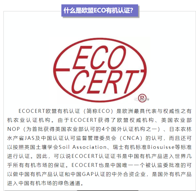 1610505947220506A2aW.png blob.png