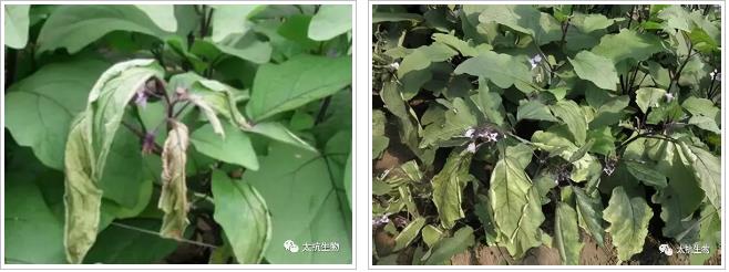 1634827568877919aDjC.jpg 微信截圖_20211021224754.jpg