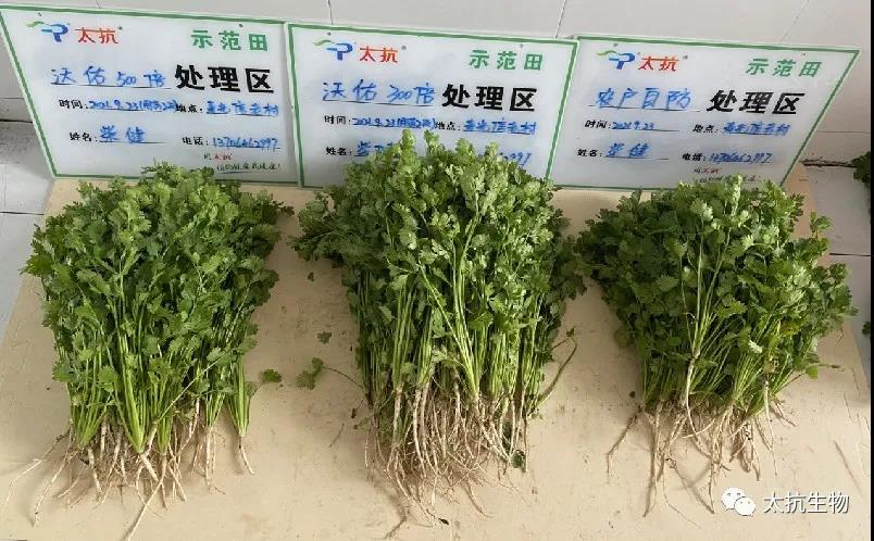 1635261065469701mnJb.jpg 微信圖片_20211026231131.jpg